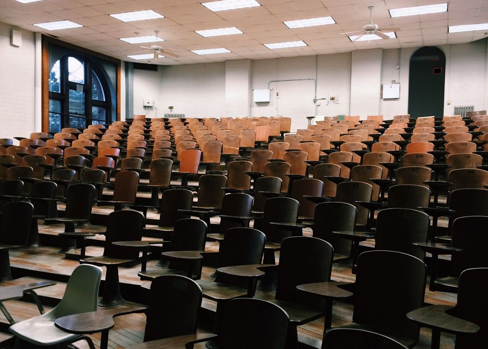 Traumapädagogik studieren: Ausbildungswege 2026